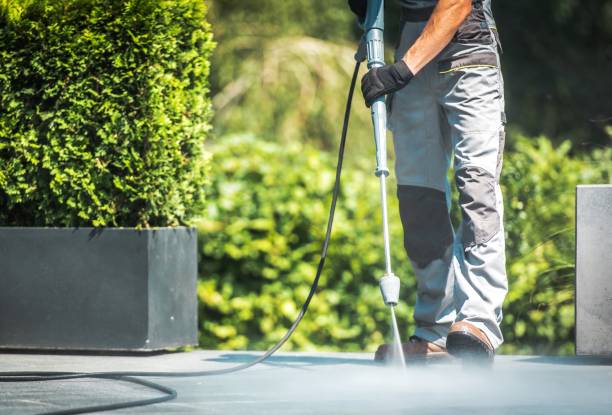 Best Solar Panel Cleaning  in Lemoore Station, CA